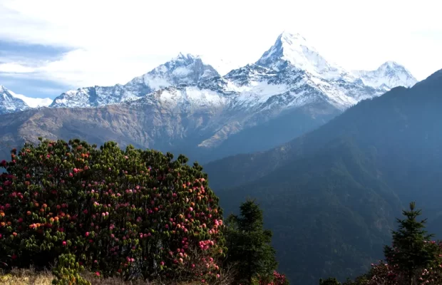 Annapurna Panaroma Trek